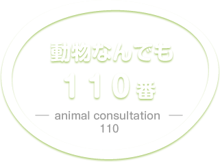 動物なんでも110番