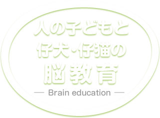 人の子どもと仔犬・仔猫の脳教育