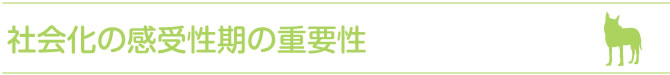 社会化の感受性期の重要性