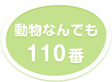 動物なんでも110番